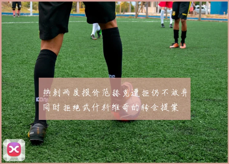 热刺两度报价范赫克遭拒仍不放弃同时拒绝武什科维奇的转会提案