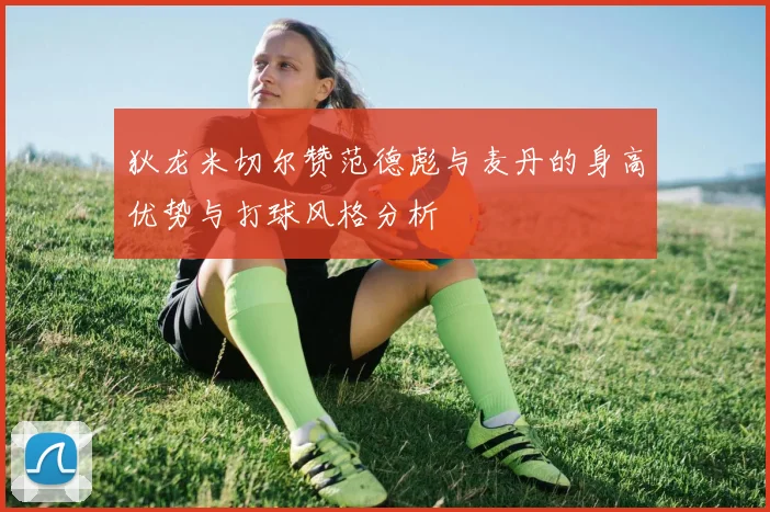 狄龙米切尔赞范德彪与麦丹的身高优势与打球风格分析
